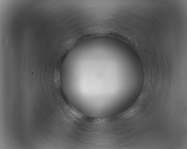 X0000060750624200511100939