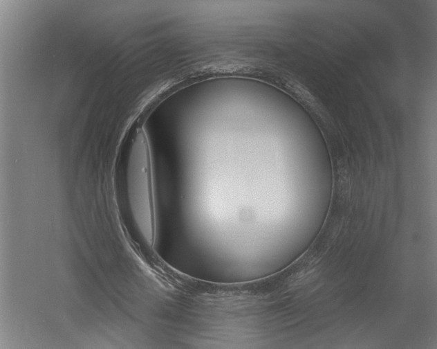 X0000060750626200511100938