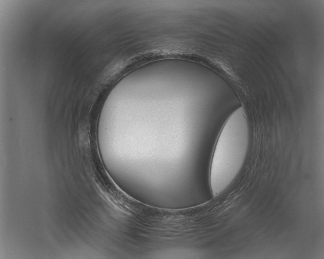 X0000060750631200511100939