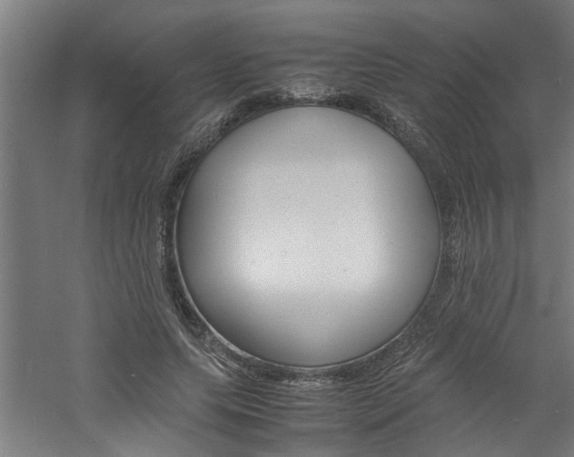 X0000060750639200511100939