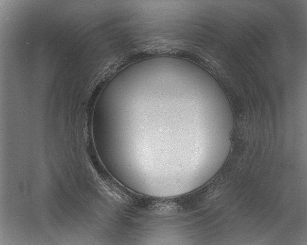 X0000060750642200511100939