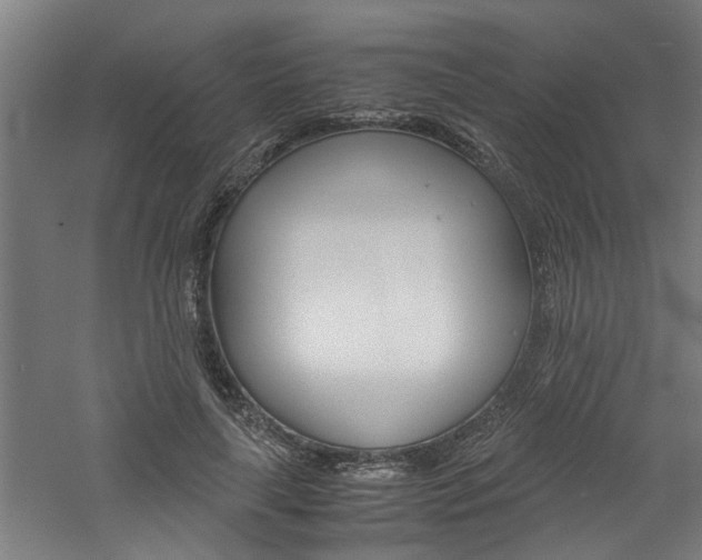 X0000060750643200511100939