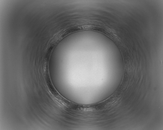 X0000060750645200511100939