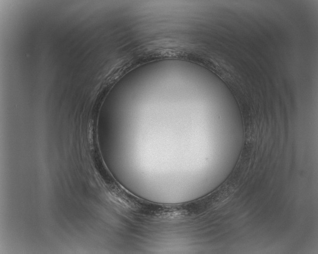 X0000060750646200511100939
