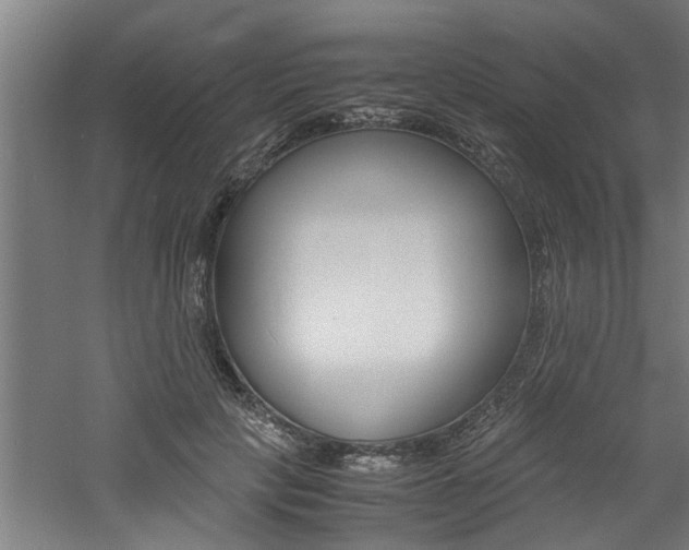 X0000060750649200511100939