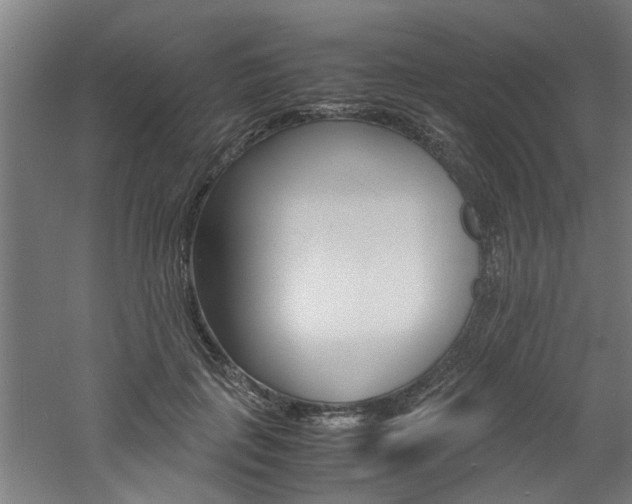 X0000060750651200511100939