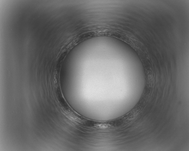 X0000060750654200511100939