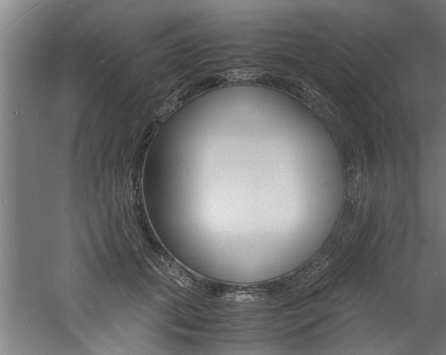 X0000060750655200511100939