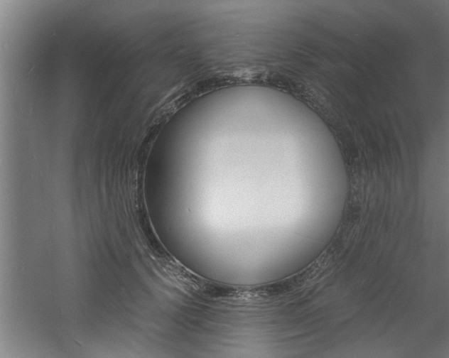 X0000060750656200511100939