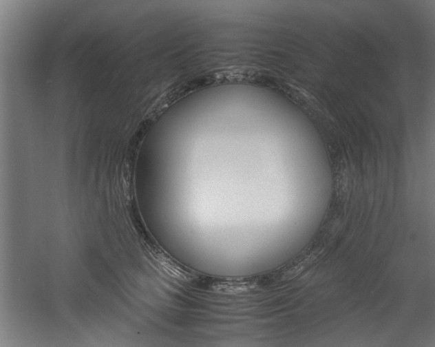 X0000060750661200511100939