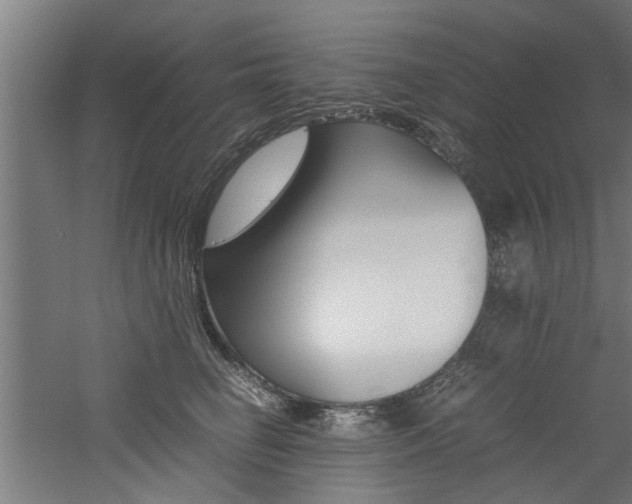 X0000060750662200511100939
