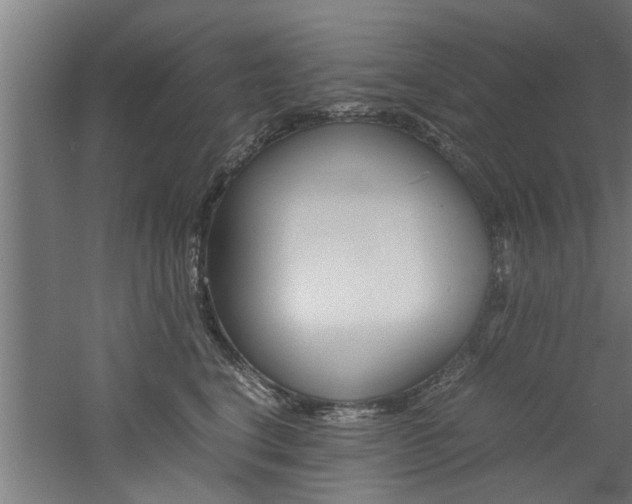 X0000060750664200511100939