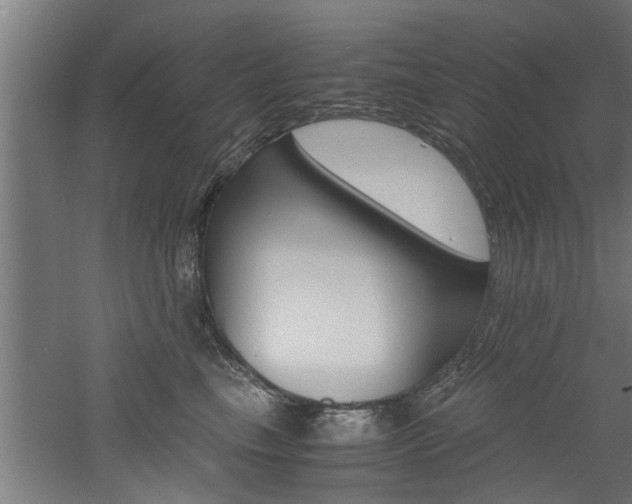 X0000060750665200511100939