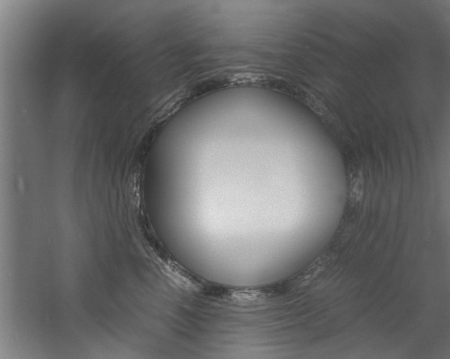 X0000060750666200511100939