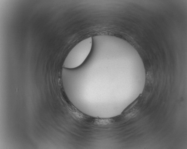 X0000060750671200511100939