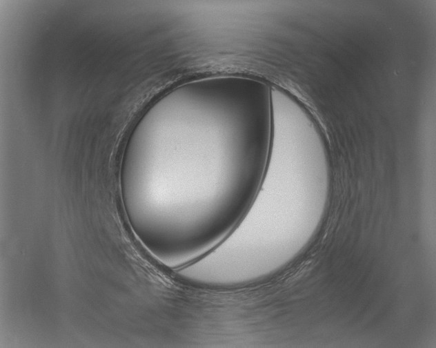 X0000060750673200511100938