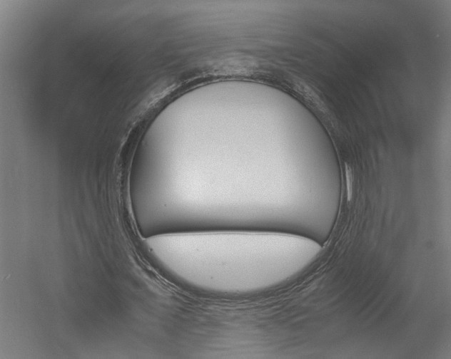 X0000060750675200511100938