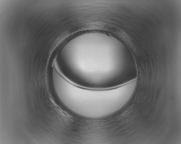 X0000060750676200511100938