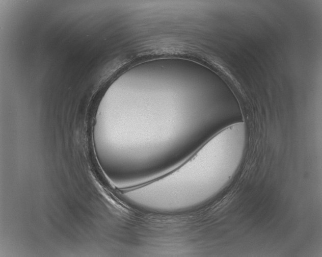 X0000060750677200511100938