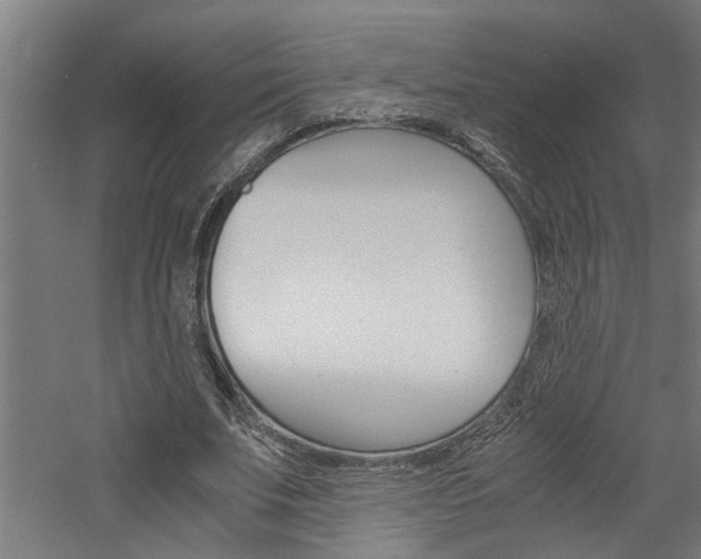 X0000060750679200511100938