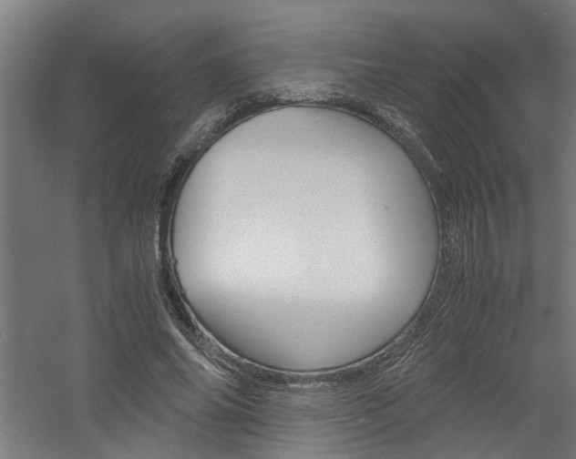 X0000060750686200511100938