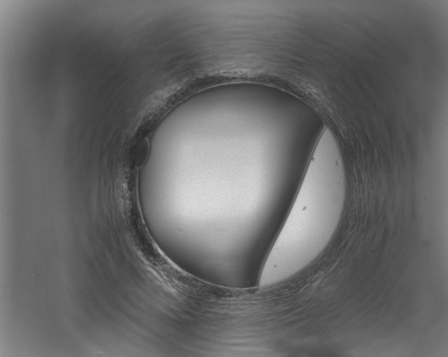 X0000060750688200511100938