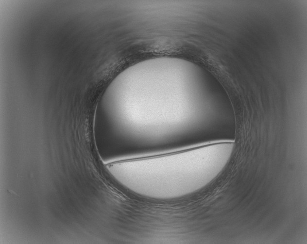 X0000060750689200511100938
