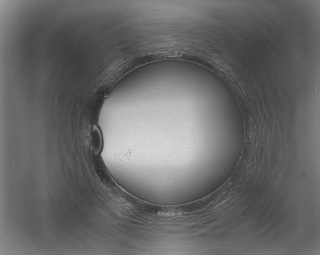X0000060750693200511100938