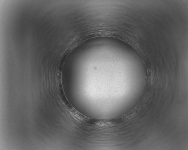 X0000060750712200511100938