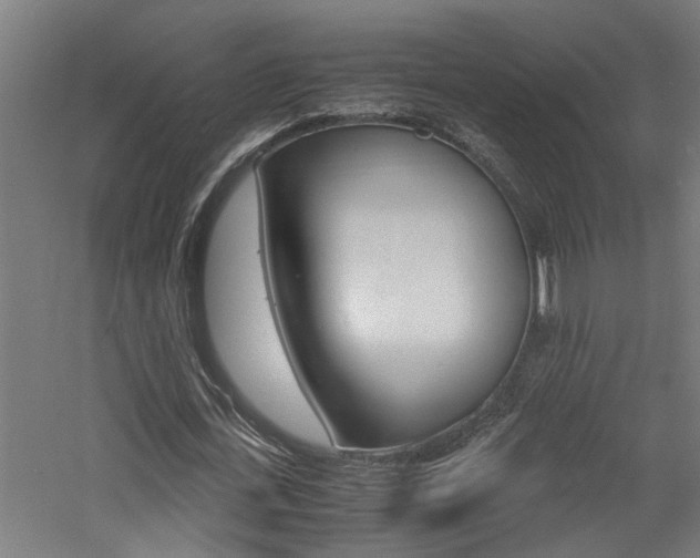 X0000060750723200511100937