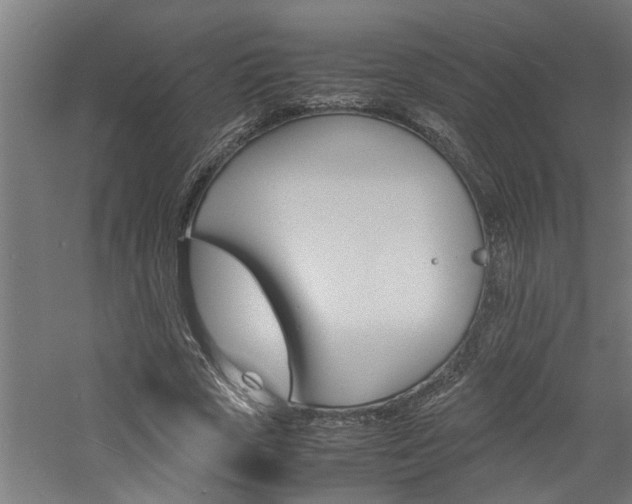 X0000060750729200511100937