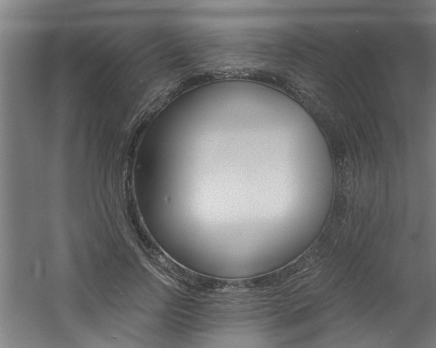 X0000060750742200511100937