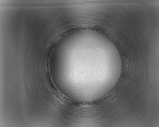 X0000060750746200511100937