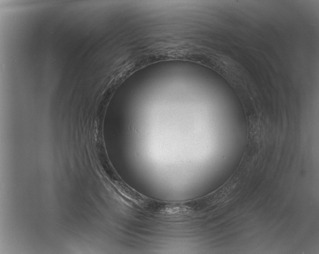 X0000060750752200511100937