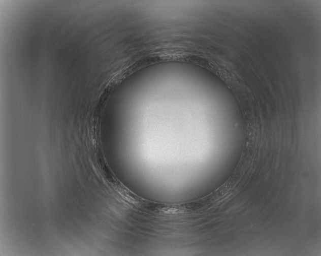X0000060750755200511100937