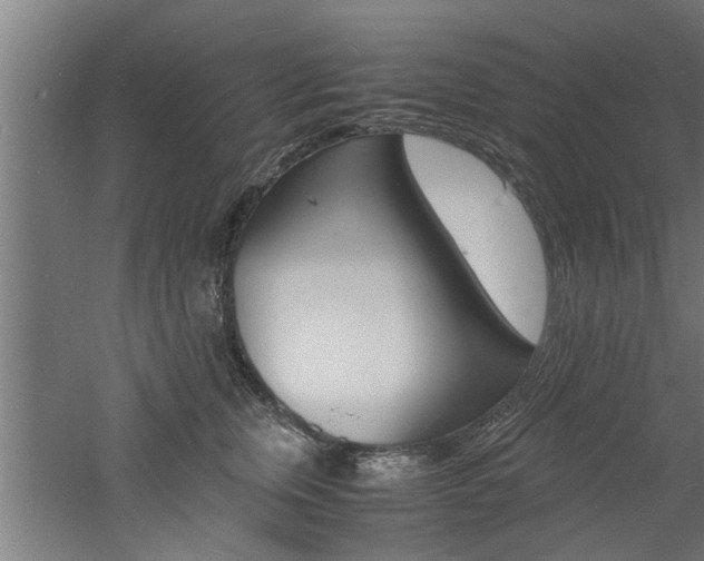 X0000060750759200511100937