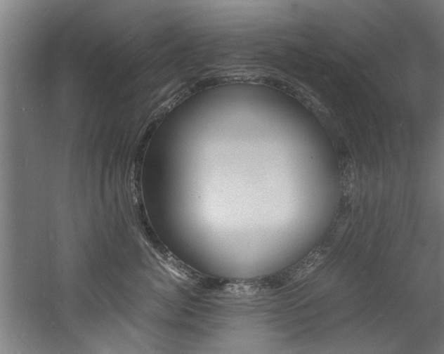 X0000060750764200511100938