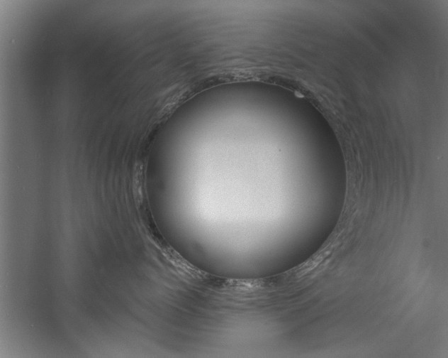 X0000060750768200511100938
