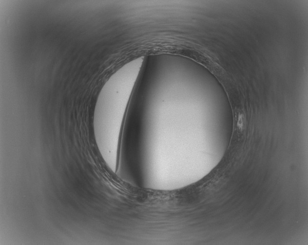 X0000060750771200511100937
