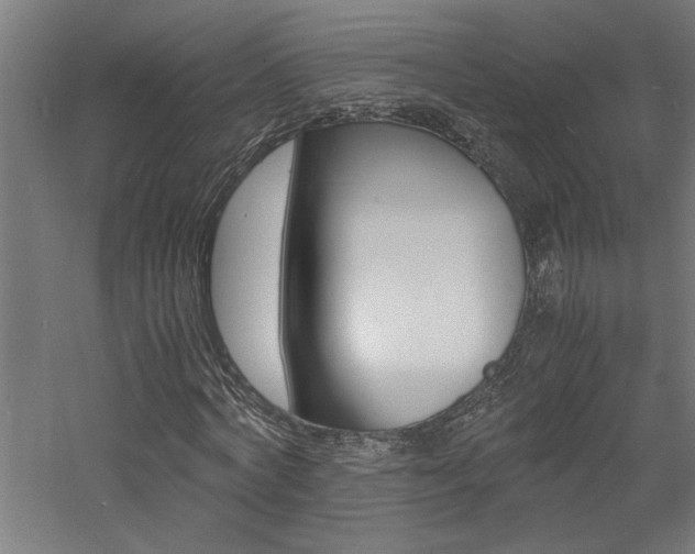 X0000060750772200511100937