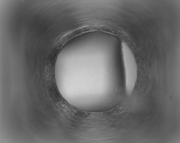 X0000060750773200511100937