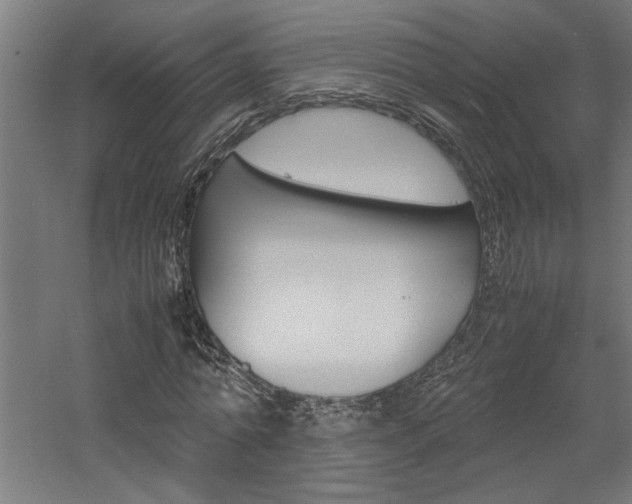 X0000060750774200511100937