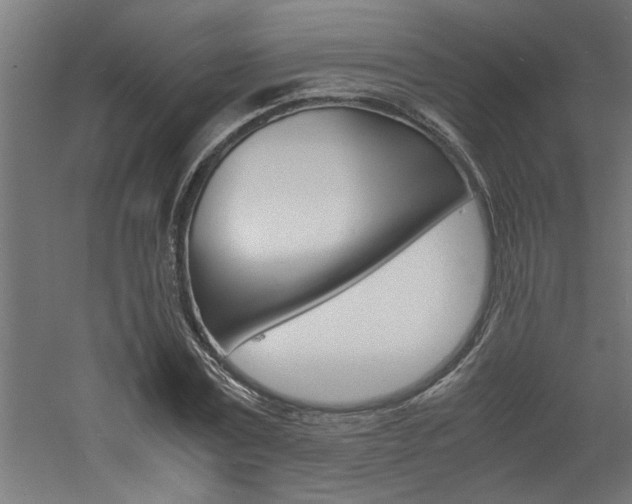 X0000060750779200511100937
