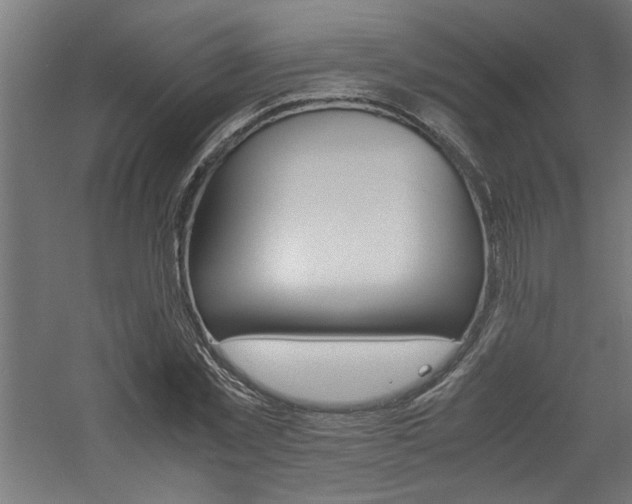 X0000060750781200511100937