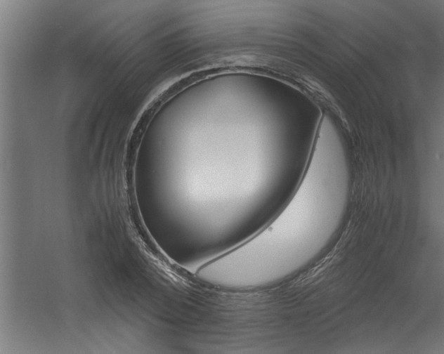 X0000060750784200511100937