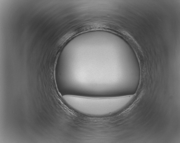 X0000060750785200511100937