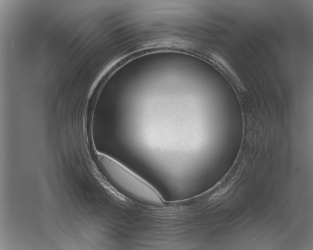X0000060750788200511100936