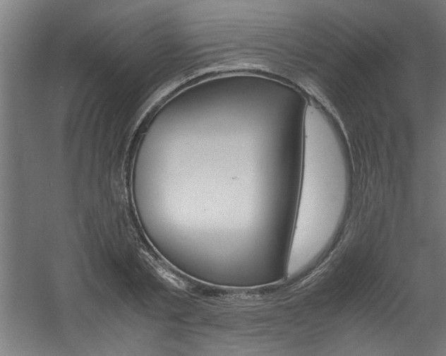 X0000060750789200511100936