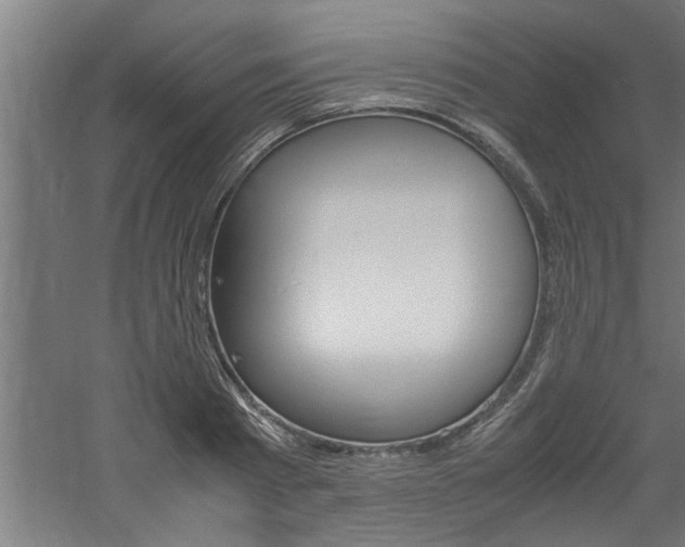 X0000060750793200511100936