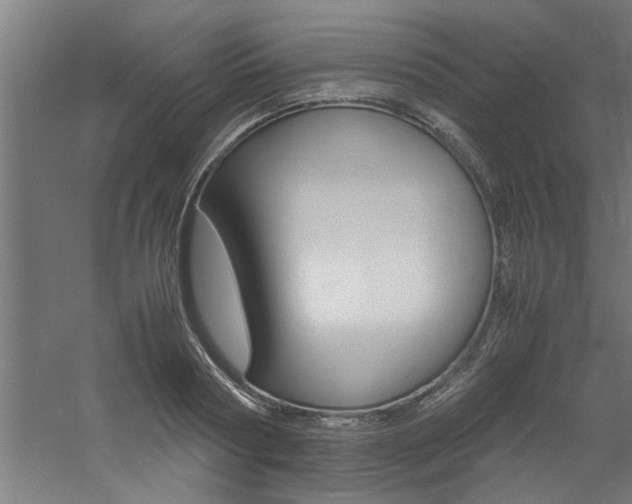 X0000060750794200511100936